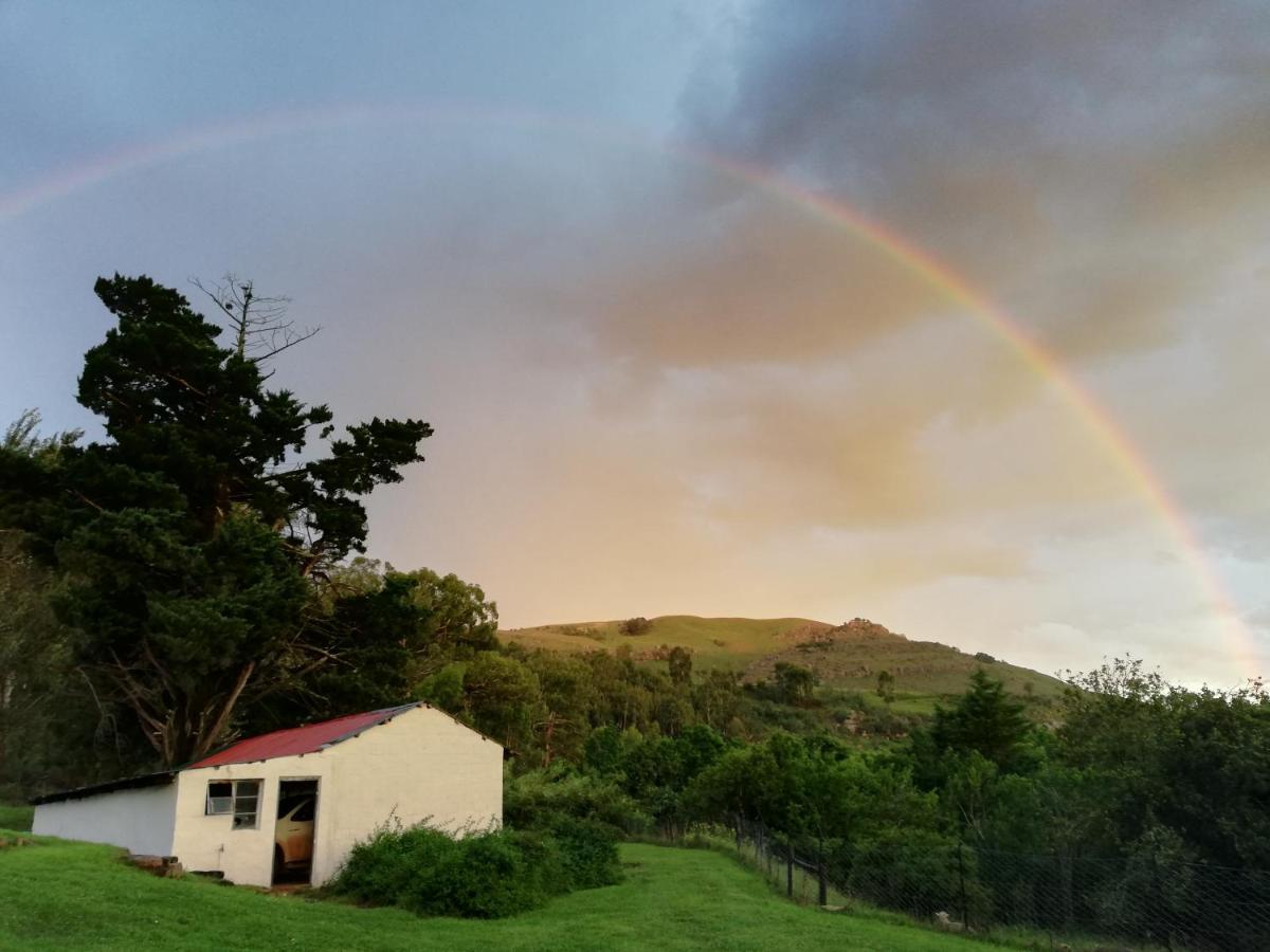 Sheeprun Farmstay Maclear Buitenkant foto