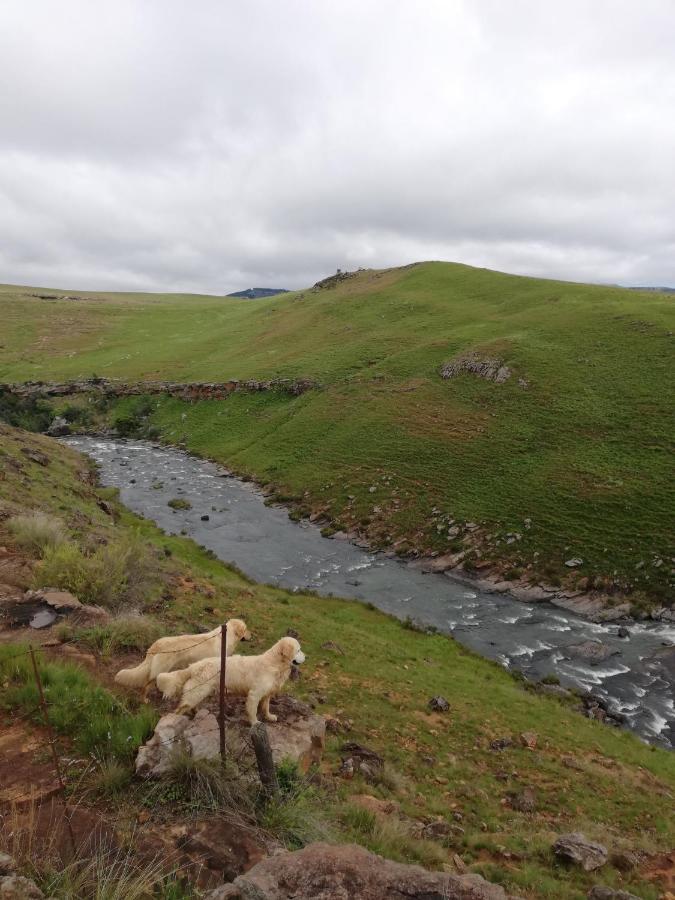 Sheeprun Farmstay Maclear Buitenkant foto